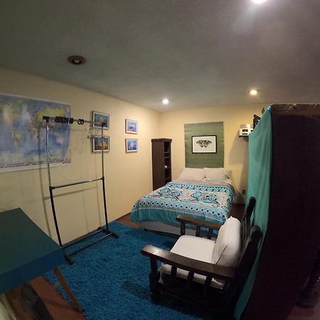 Neighbor Of Frida Khalo, Vintage Stay In Coyoacan メキシコシティ エクステリア 写真