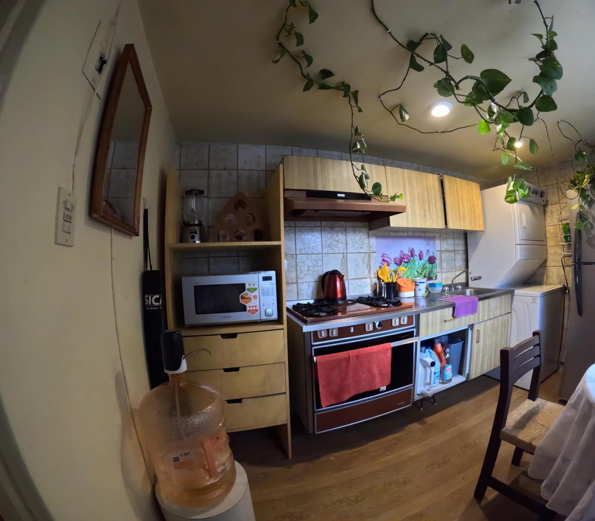 Neighbor Of Frida Khalo, Vintage Stay In Coyoacan メキシコシティ エクステリア 写真
