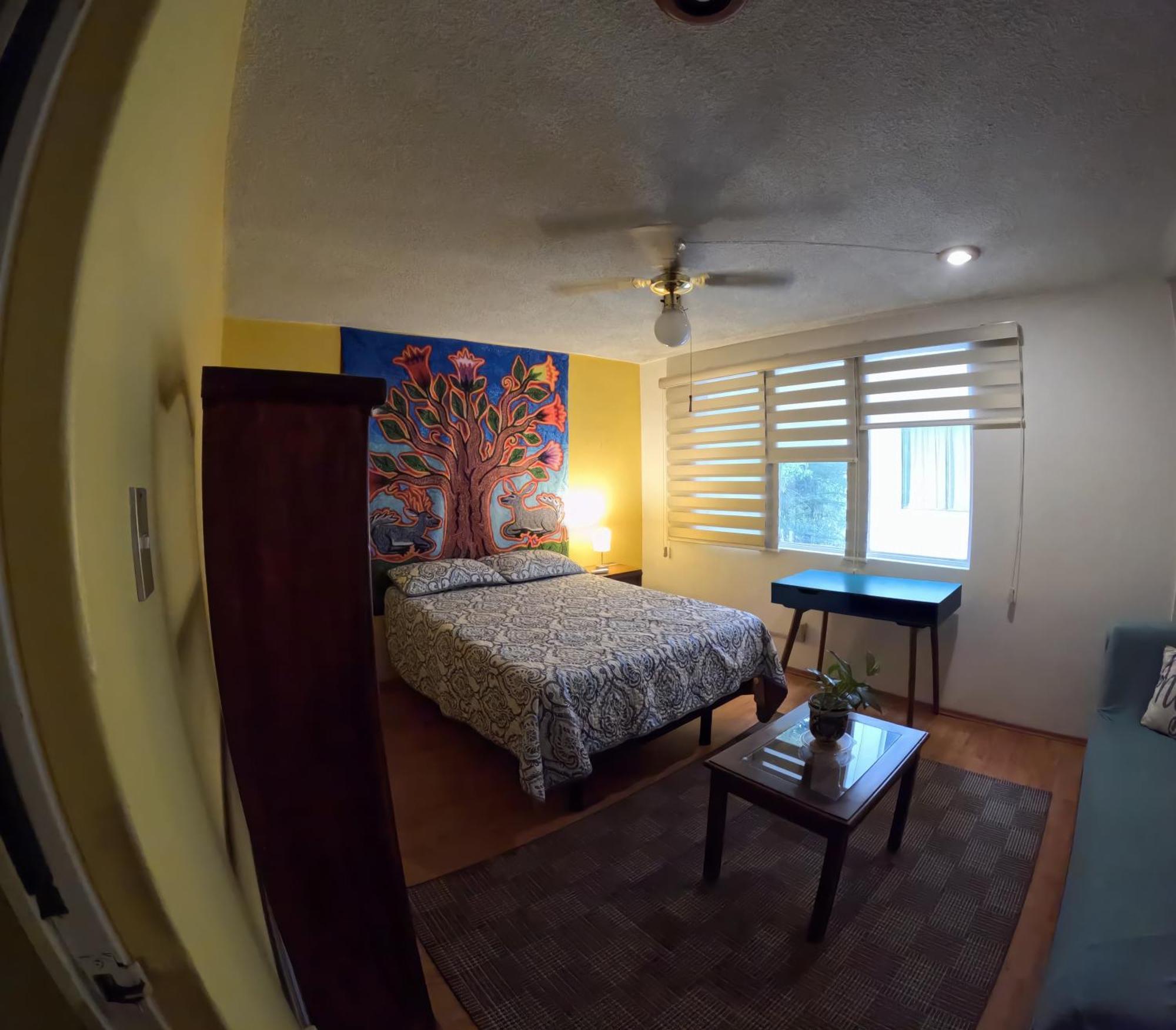 Neighbor Of Frida Khalo, Vintage Stay In Coyoacan メキシコシティ エクステリア 写真